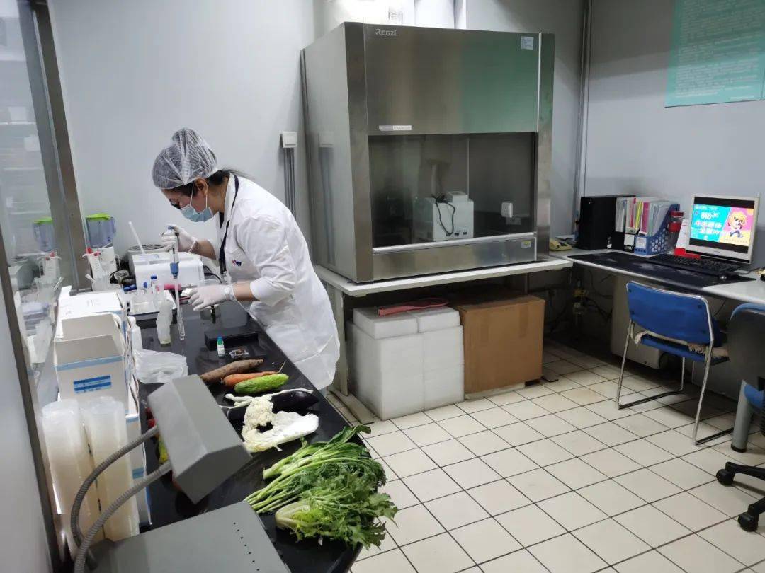 东光食品检测实验室装修方案